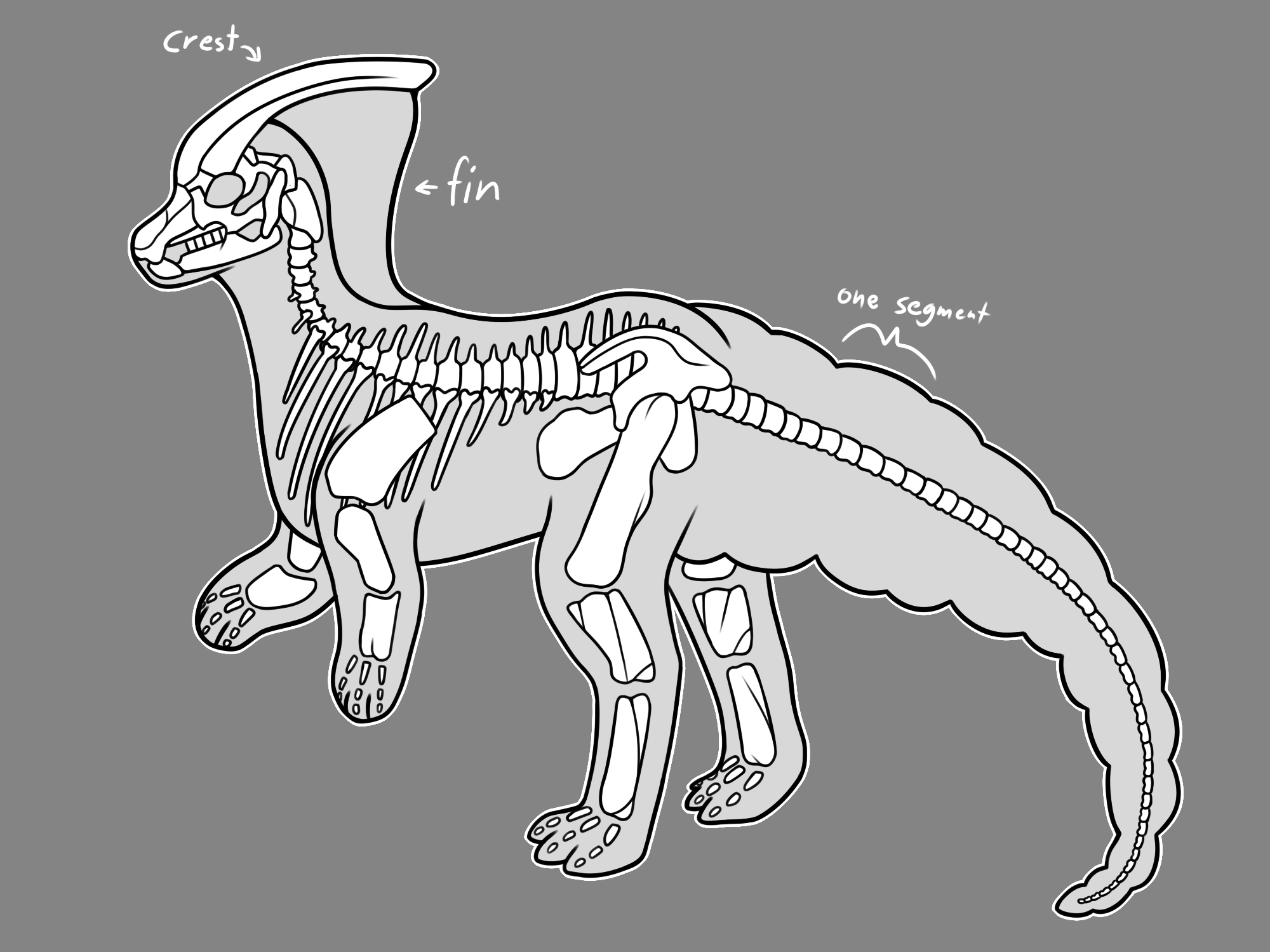 paraguide_skeleton.png