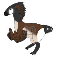 PARA-253-Canada-Goose: Gertrude