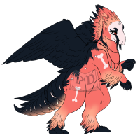 PARA-305-Bearded-Vulture