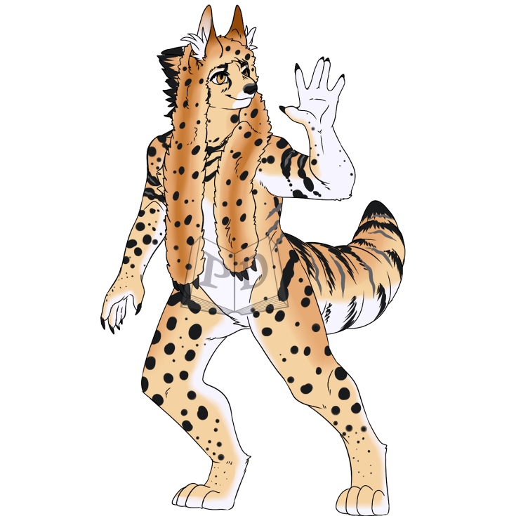PARA-471-Serval: Social Serval