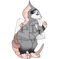 Thumbnail for PARA-504-Virginia-Opossum: Viola