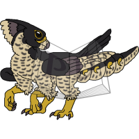 Thumbnail for PARA-539-Peregrine-Falcon