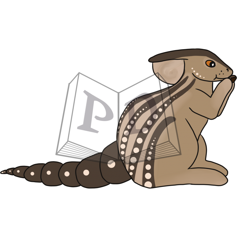 PARA-624-Thirteen-Lined-Ground-Squirrel: Chip