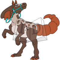 Thumbnail image for PARA-552-Appaloosa: Amber